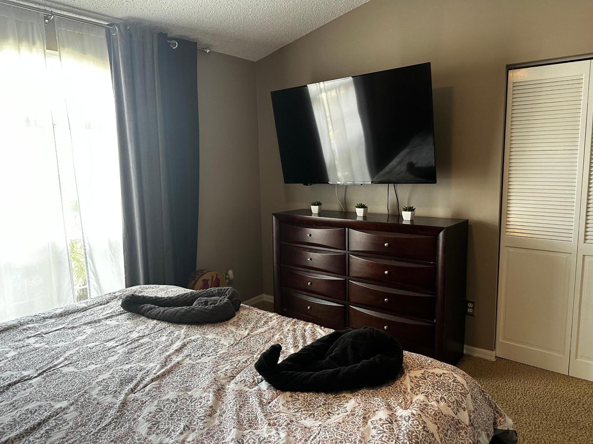 Cozy 3 Bedroom Home Close To Everything In Tampa! Extérieur photo